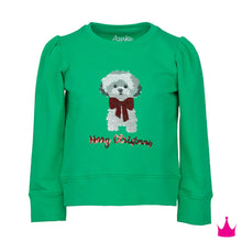 Load image into Gallery viewer, MERRY CHRISTMAS DOG SWEATER