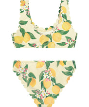 Load image into Gallery viewer, NOLINA SET - CITRUS