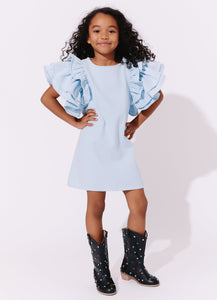 RUFFLE DENIM DRESS