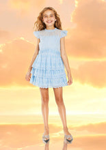 Load image into Gallery viewer, RORY EMBROIDERED MINI- BLUE