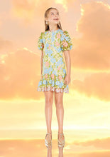 Load image into Gallery viewer, ELLISON EMBROIDERED MINI DRESS